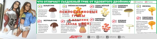 кокаин колумбия Богданович