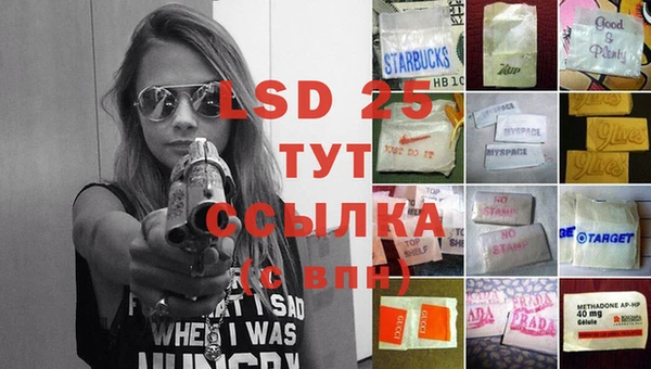 прущие крисы Бородино