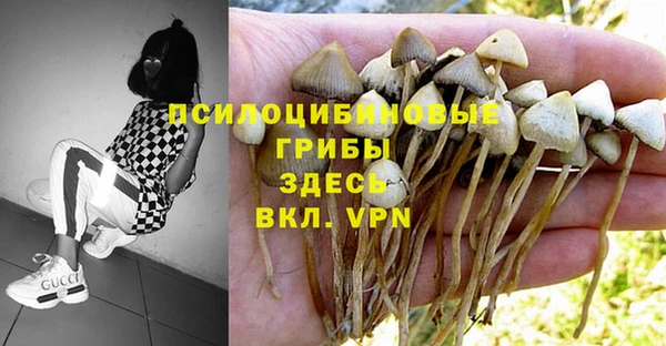 ALPHA PVP Богородск
