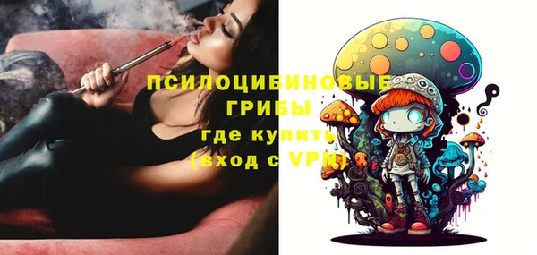 прущие крисы Бородино
