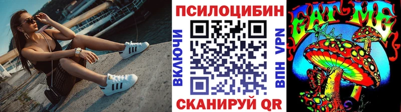 Псилоцибиновые грибы Cubensis  Дигора 